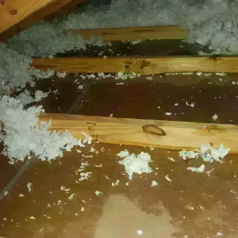 Attic Water Damage in Baldwin, GA