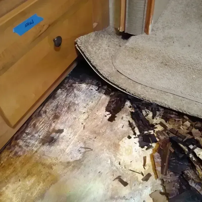 Wood Floor Water Damage in Baldwin, GA